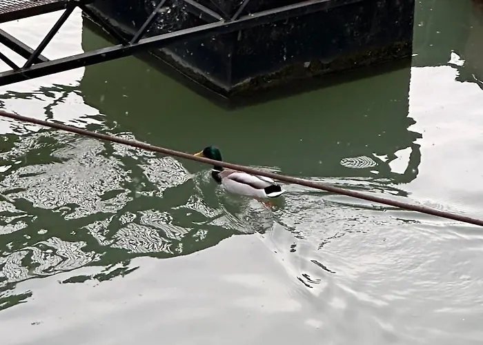 公寓 Unique River Houseboat